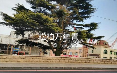 学法心得体会800字左右，学法心得体会800字左右2020年