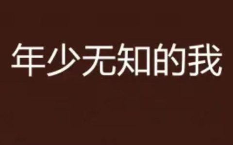 有因必有果后面一句是什么，有因必有果,你的报应就是我