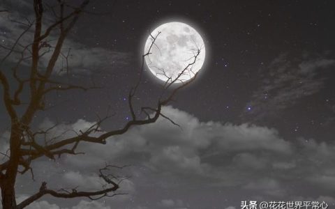 月亮与星星的关系图，月亮与星星的关系图片