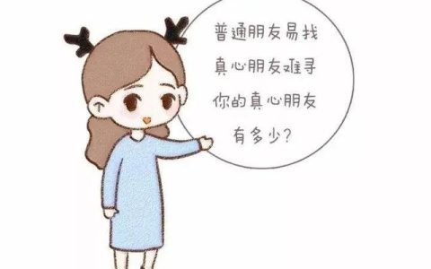 我的朋友圈作文800字高中，我的朋友圈作文800字议论文